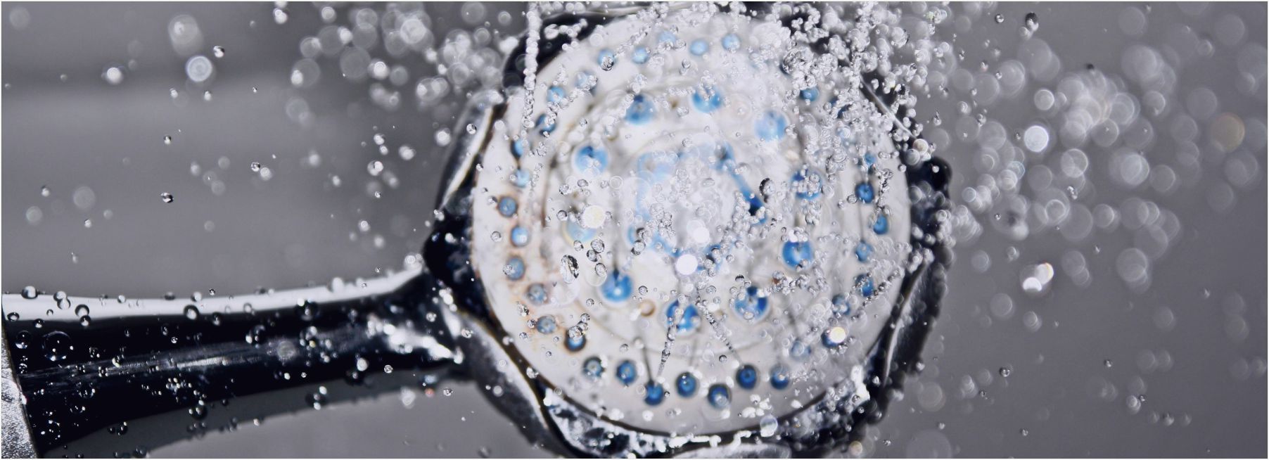 Heinz-Witt-Marketing-QS